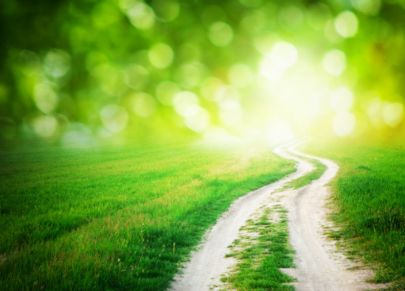 green field